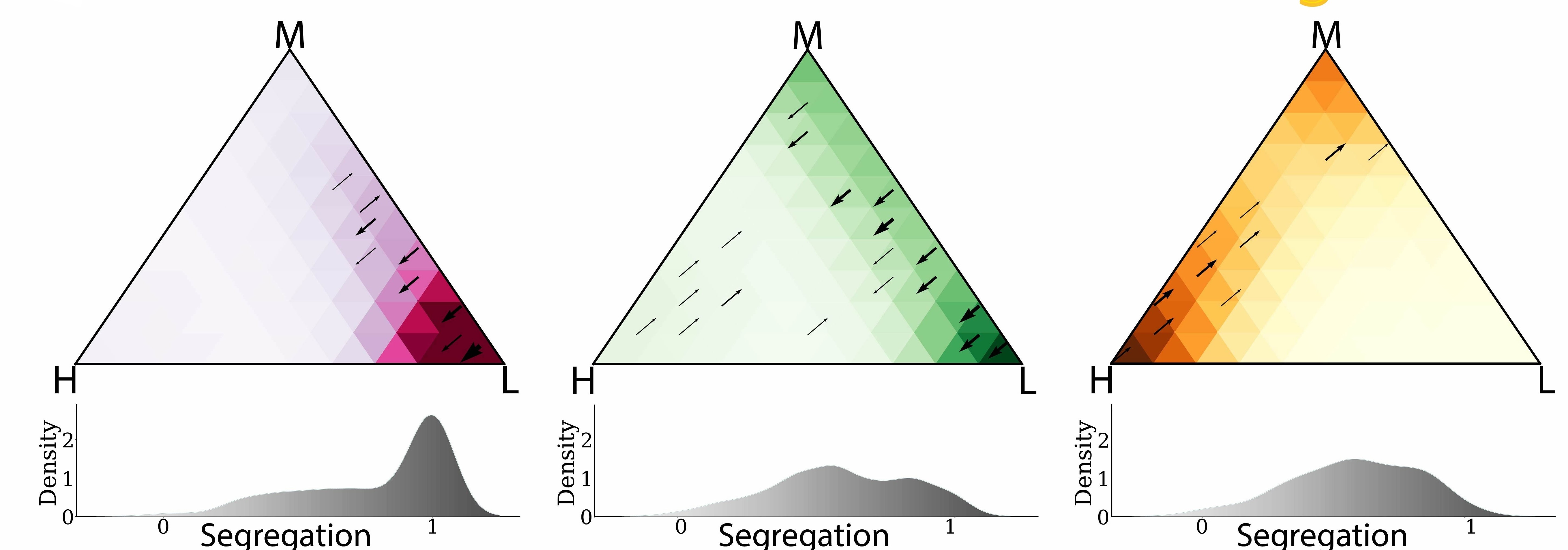 Nighttime Segregation Patterns