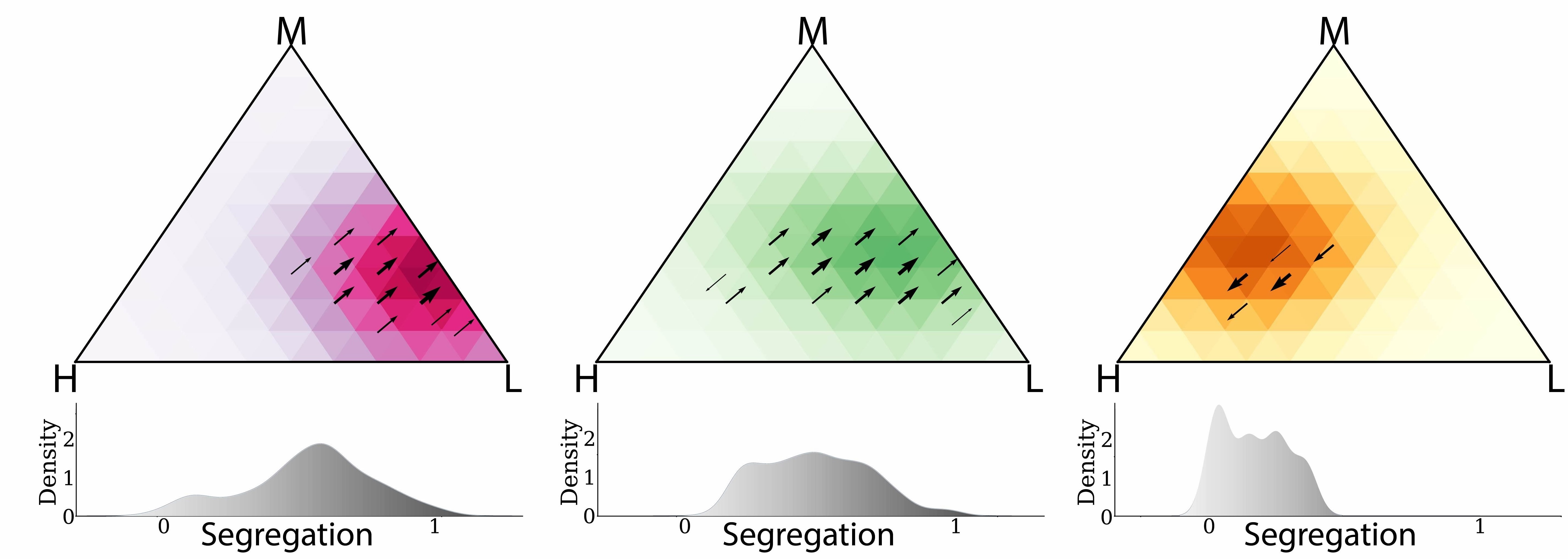 Evening Leisure Segregation Patterns